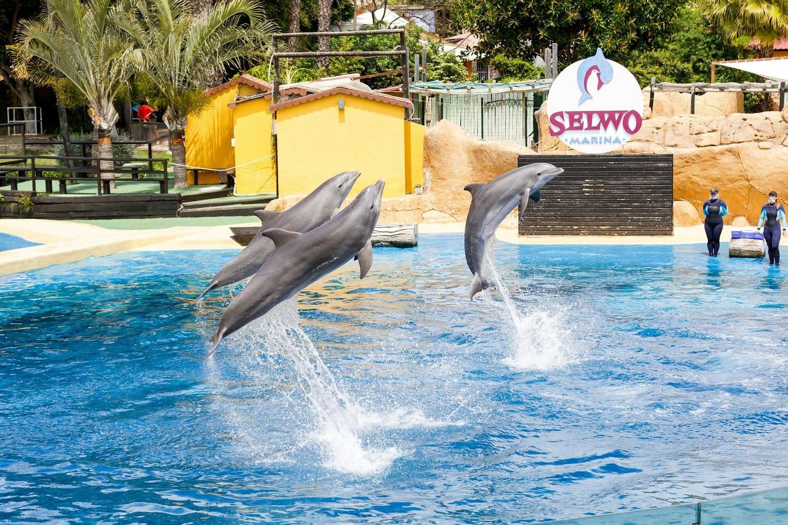 Selwo Marina: Входной билет - photo 2