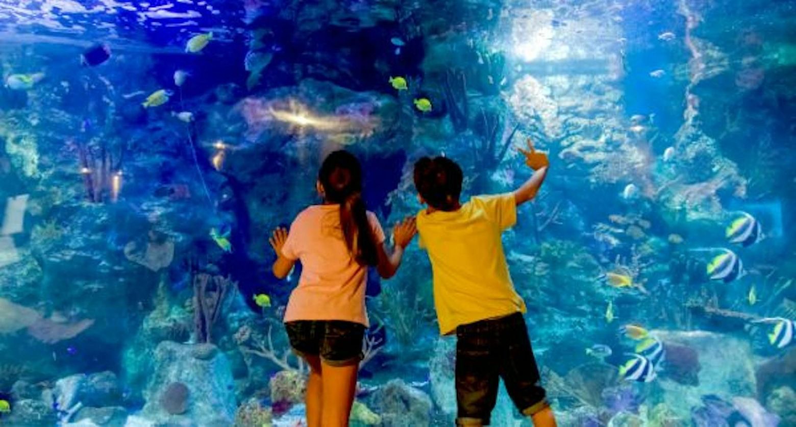 Мундомар Бенидорм: Билет с входом без очереди - photo 2