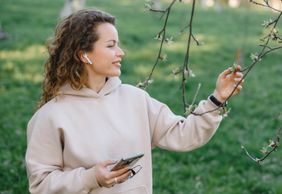 Дендрологический сад им. С.Ф. Харитонова: познавательная прогулка для любителей природы