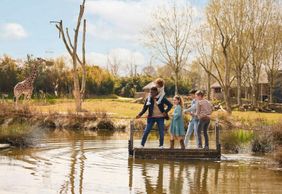 Зоопарк Overloon: Входной билет