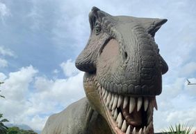 Парк Эксплора: Входной билет