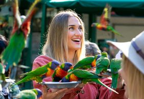 Заповедник Керрамбин: Входной билет