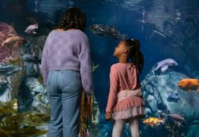 Аквариум Тихого океана: Билет с входом без очереди