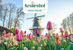 Кёкенхоф: входной билет + круиз на ветряной мельнице + транспорт