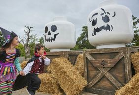 LEGOLAND® Discovery Centre Dallas: Входной билет