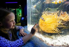 SEA LIFE Грейт-Ярмут: Входной билет