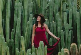 Стратмертон: входной билет в страну кактусов