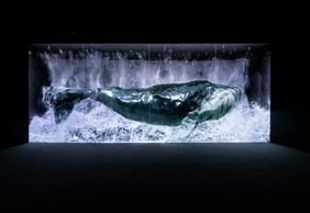 Музей Арте в Лас-Вегасе: Входной билет