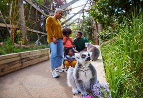 Лондонский зоопарк: Входной билет