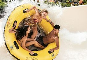 Парк Loro Parque и Аквапарк Siam Park: Входной билет