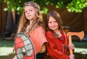 Шведский исторический музей: Входной билет