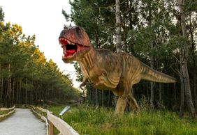 Дино Парк Луринья: Входной билет