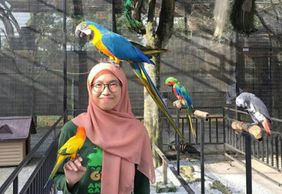 G2G Животный сад: Входной билет