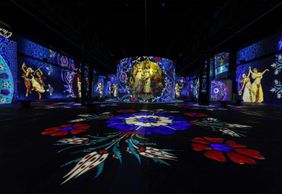 Phoenix des Lumières: Входной билет