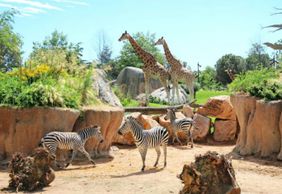 Увеличить Турин: Входной билет