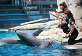 Тематический парк Олтремаре: Входной билет + Обед