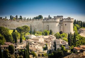 Форт Сент-Андре: Входной билет