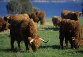 Остров Филиппа: входной билет на остров Черчилля