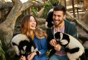 Мундомар Бенидорм: Билет с входом без очереди