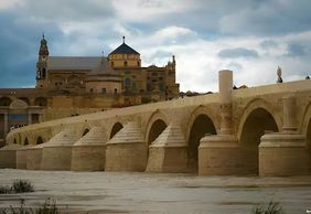 Кордова: входной билет без очереди + однодневная поездка из Севильи