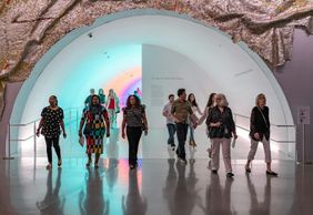 Музей изящных искусств Хьюстона: билет ДЛЯ ВСЕХ