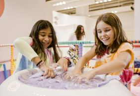 Институт Сломоо: Входной билет