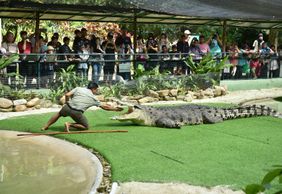 Крокодил Лангкави: Входной билет