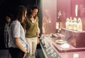 Музей слияния: Входной билет