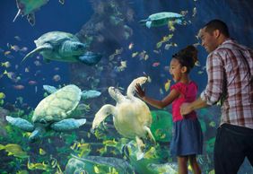 SeaWorld San Diego: Билет с быстрым входом