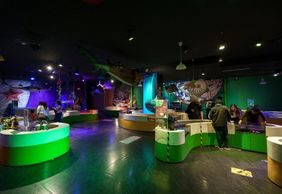 Аквариум Инбурса в Мехико: входной билет