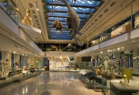 Музей естественной истории округа Лос-Анджелес: Входной билет