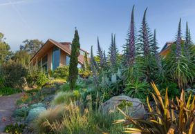 RHS Garden Hyde Hall: Входной билет