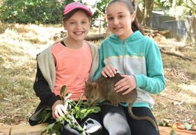 Парк дикой природы Gorge: Входной билет