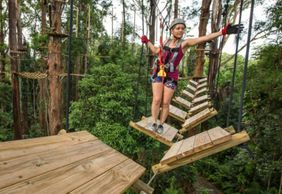 TreeTop Challenge Sunshine Coast: входной билет