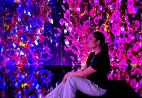 iMUSEUM: входной билет