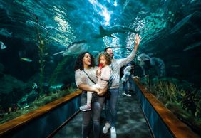 Парк Loro Parque: Входной билет