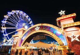 Зимний рай в Амстердаме: Входной билет