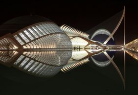 Oceanogràfic & Hemisfèric: Входной билет