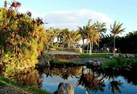 Пальметум Санта-Крус-де-Тенерифе: Входной билет