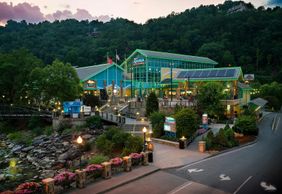 Аквариум Ripley 's Aquarium of the Smokies: Входной билет