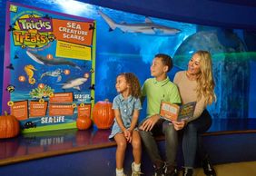 SEA LIFE Aquarium в ресторане American Dream: общий билет
