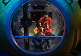 Нью-Йоркский аквариум: Входной билет