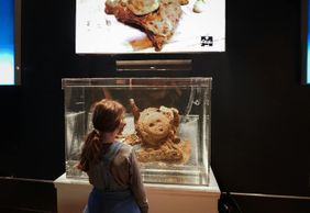 Настоящие пираты Салема: Входной билет