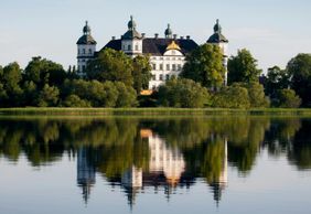 Замок Скоклостер: Входной билет