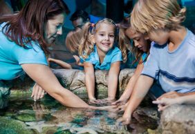 МОРСКАЯ ЖИЗНЬ, Манчестер: Входной билет