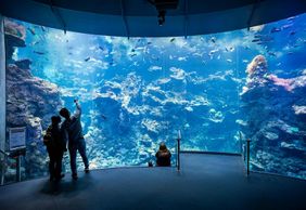 Калифорнийская академия наук: Входной билет