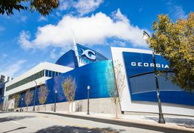 Океанариум Джорджии: Билет с входом без очереди