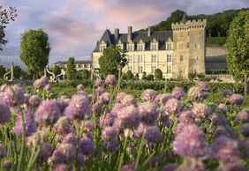 Замок Вилландри: Входной билет