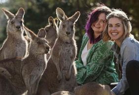 Парк дикой природы Symbio: Входной билет