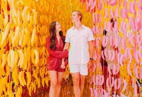 Музей мороженого в Майами: входной билет